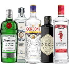 Gin